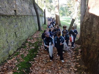 Mataleñas - 1º EP - Octubre 2015
 