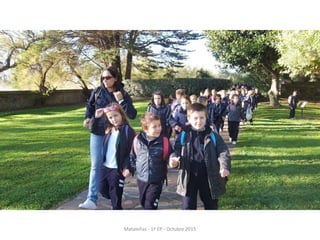 Mataleñas - 1º EP - Octubre 2015
 