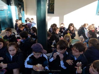 Mataleñas - 1º EP - Octubre 2015
 