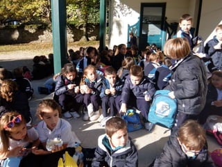 Mataleñas - 1º EP - Octubre 2015
 