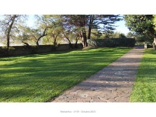 Mataleñas - 1º EP - Octubre 2015
 