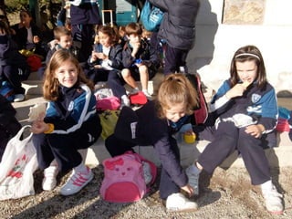 Mataleñas - 1º EP - Octubre 2015
 