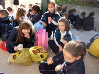 Mataleñas - 1º EP - Octubre 2015
 