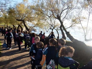 Mataleñas - 1º EP - Octubre 2015
 