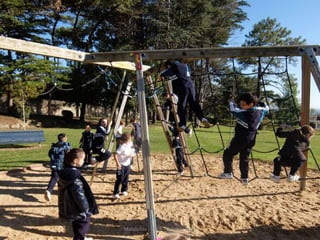 Mataleñas - 1º EP - Octubre 2015
 