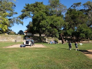 Mataleñas - 1º EP - Octubre 2015
 