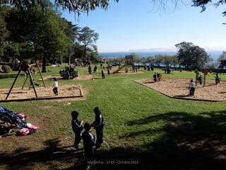 Mataleñas - 1º EP - Octubre 2015
 