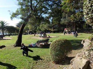 Mataleñas - 1º EP - Octubre 2015
 