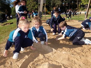 Mataleñas - 1º EP - Octubre 2015
 