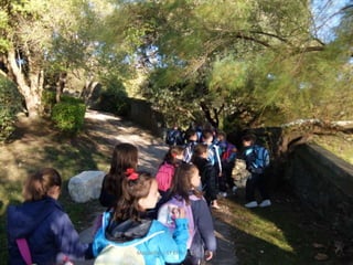 Mataleñas - 1º EP - Octubre 2015
 