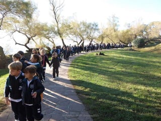 Mataleñas - 1º EP - Octubre 2015
 