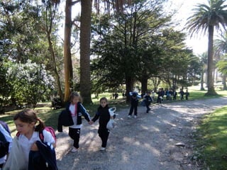 Mataleñas - 1º EP - Octubre 2015
 