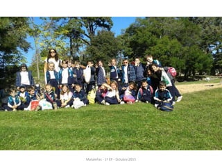 Mataleñas - 1º EP - Octubre 2015
 