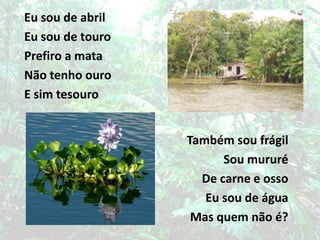 Eu sou de abrilEu sou de touroPrefiro a mataNão tenho outroE sim tesouro Também sou frágilSou mururéDe carne e ossoEu sou de águaMas quem não é?Eu sou de abrilEu sou de touroPrefiro a mataNão tenho ouroE sim tesouro 