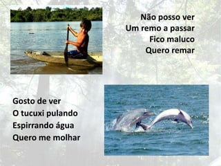 Não posso ver Um remo a passarFico malucoQuero remar  Gosto de verO tucuxi pulandoEspirrando águaQuero me molhar 