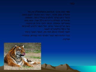 מצגת הטורפים | PPT