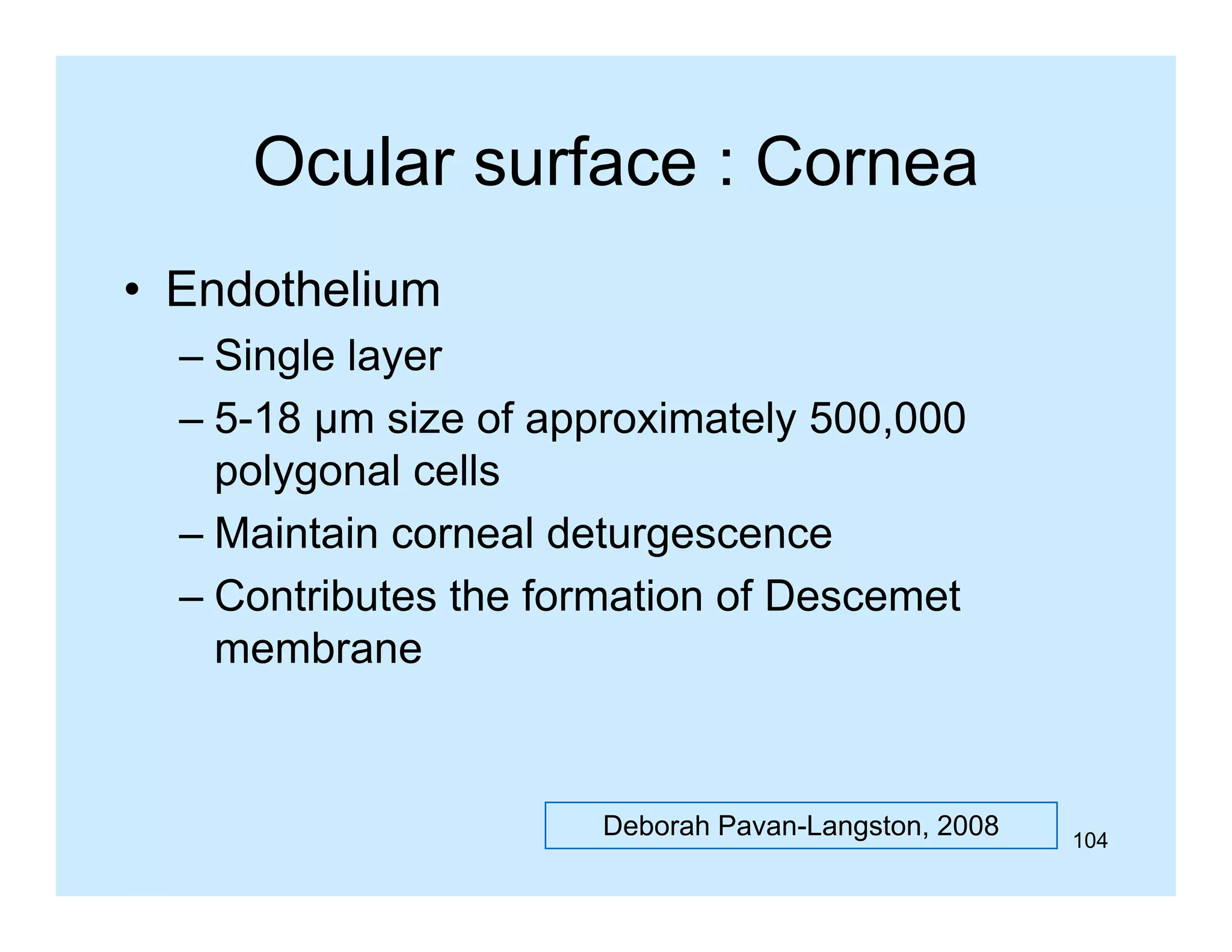 Ocular surface : Cornea
• Endothelium
– Single layer
– 5 18 µm size of approximately 500 000
5-18
500,000
polygonal cells
– Maintain corneal deturgescence
– Contributes the formation of Descemet
membrane

Deborah Pavan-Langston, 2008

104

 