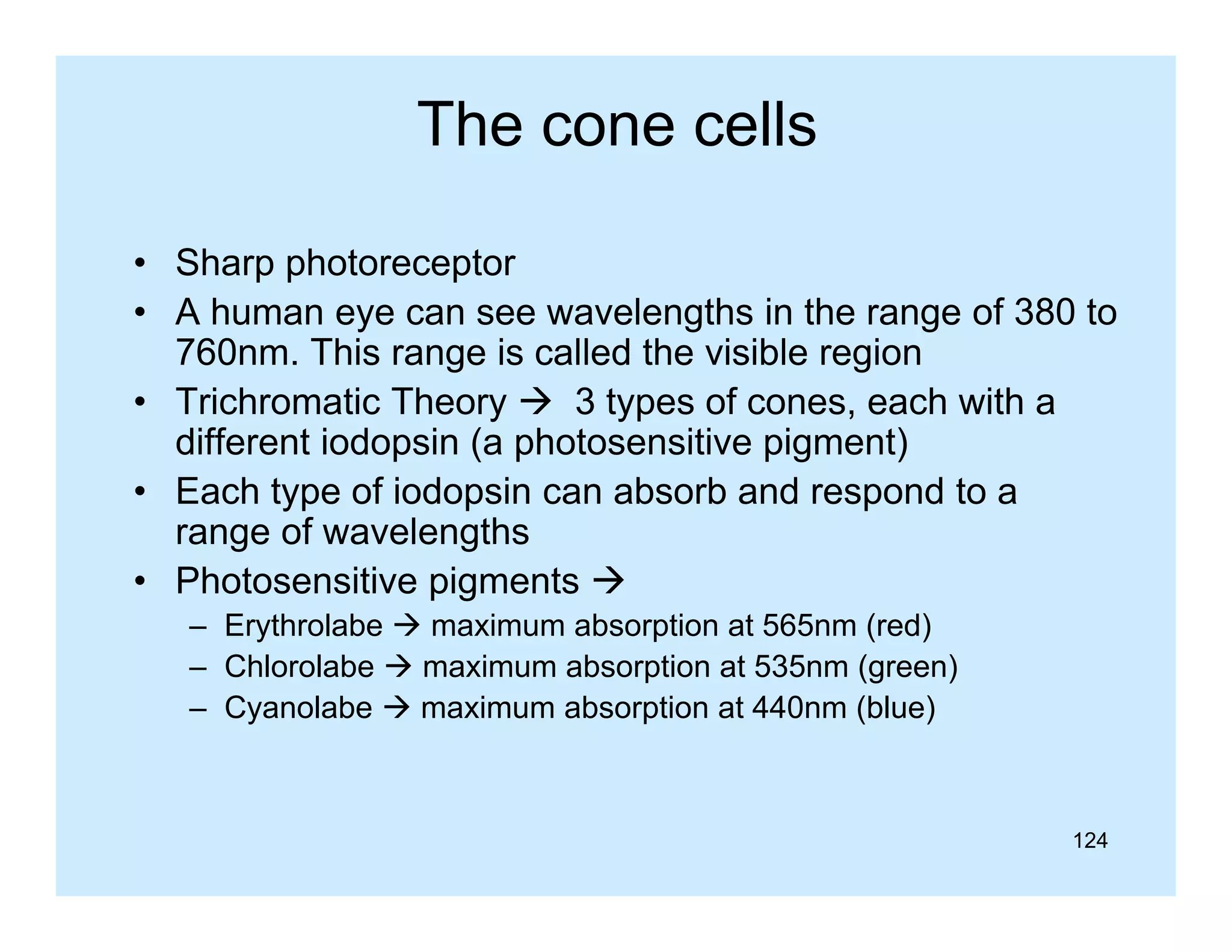 The cone cells
• Sharp photoreceptor
• A human eye can see wavelengths in the range of 380 to
760nm. This range is called the visible region
y
yp
,
• Trichromatic Theory  3 types of cones, each with a
different iodopsin (a photosensitive pigment)
• Each type of iodopsin can absorb and respond to a
range of wavelengths
• Photosensitive pigments 
– Erythrolabe  maximum absorption at 565nm (red)
– Chl l b  maximum absorption at 535
Chlorolabe
i
b
ti
t 535nm (
(green)
)
– Cyanolabe  maximum absorption at 440nm (blue)

124

 