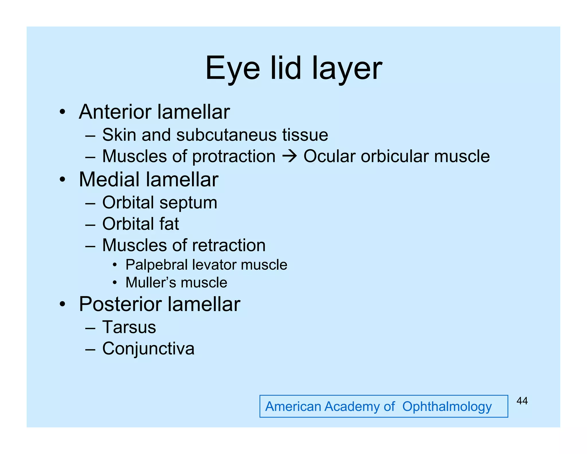 Eye lid layer
y
y
• Anterior lamellar
– Skin and subcutaneus tissue
– Muscles of protraction  Ocular orbicular muscle

• Medial lamellar
– O bit l septum
Orbital
t
– Orbital fat
– Muscles of retraction
• Palpebral levator muscle
• Muller’s muscle

• Posterior lamellar
– Tarsus
– Conjunctiva
American Academy of Ophthalmology

44

 
