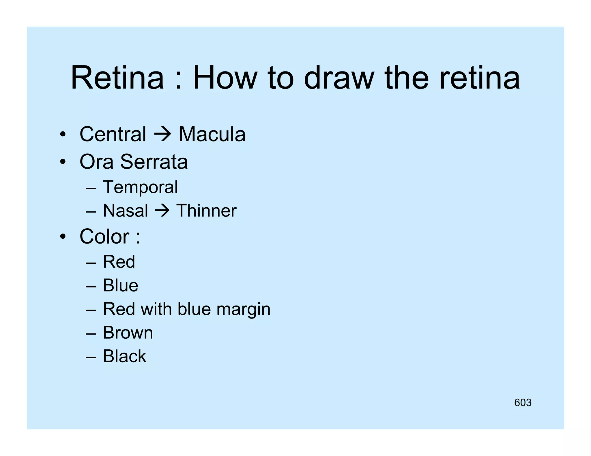 Retina : How to draw the retina
• Central  Macula
• Ora Serrata
– Temporal
– Nasal  Thinner

• Color :
–
–
–
–
–

Red
R d
Blue
Red with blue margin
Brown
Black
603

 
