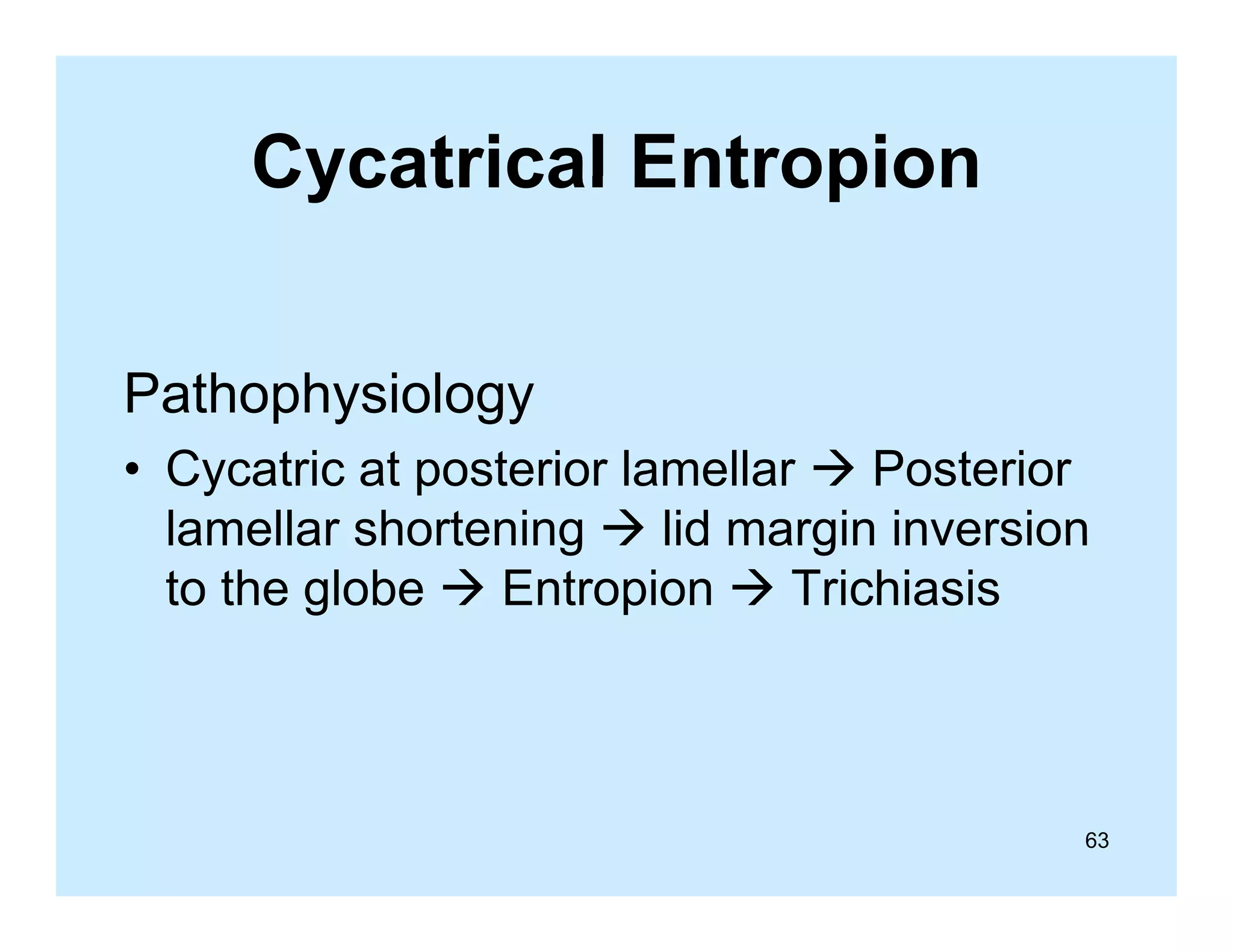 Cycatrical Entropion
Pathophysiology
p y
gy
• Cycatric at posterior lamellar  Posterior
lamellar shortening  lid margin inversion
to the globe  Entropion  Trichiasis

63

 