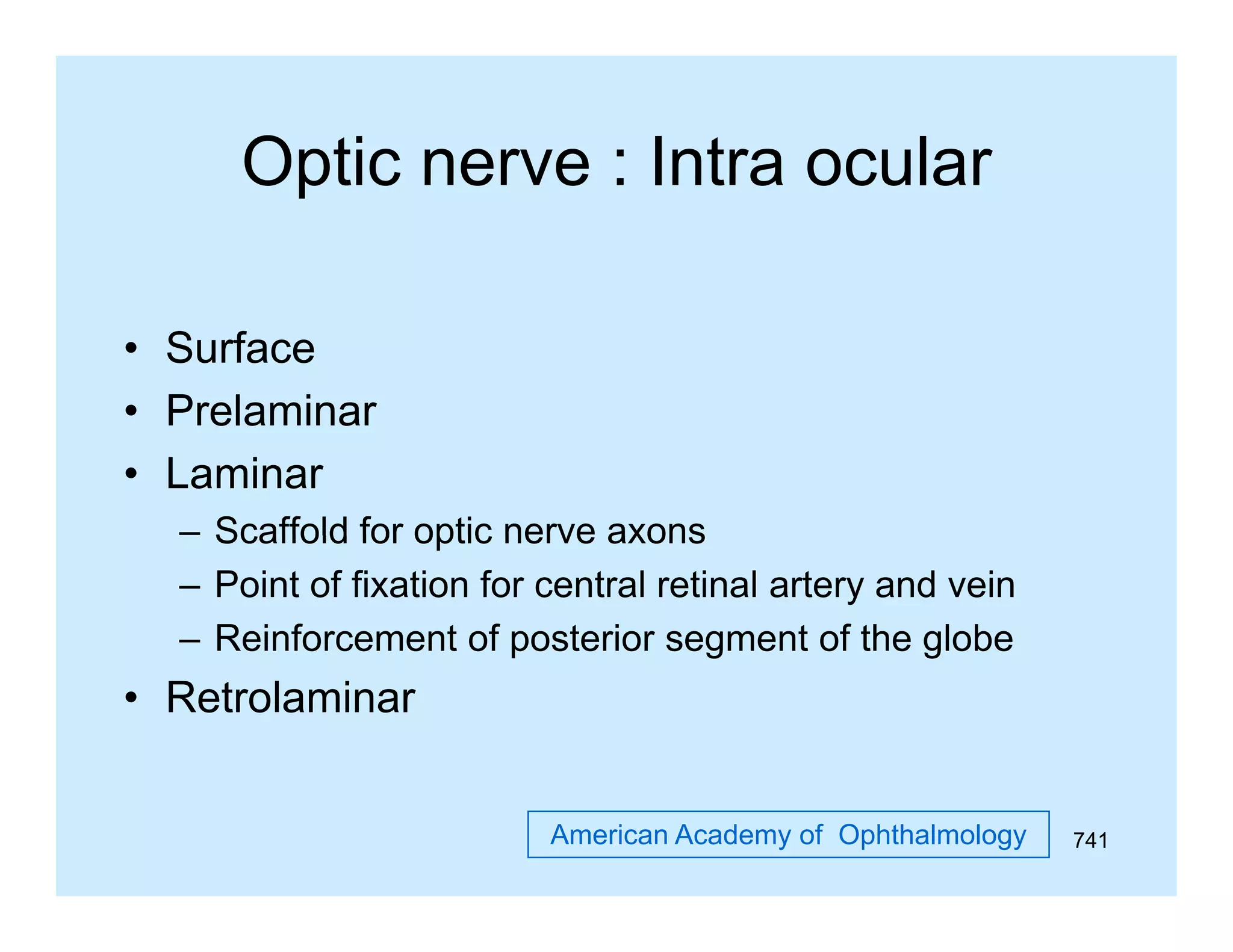 Optic nerve : Intra ocular
• Surface
• Prelaminar
• Laminar
– Scaffold for optic nerve axons
– Point of fixation for central retinal artery and vein
– Reinforcement of posterior segment of the g
p
g
globe

• Retrolaminar
American Academy of Ophthalmology

741

 