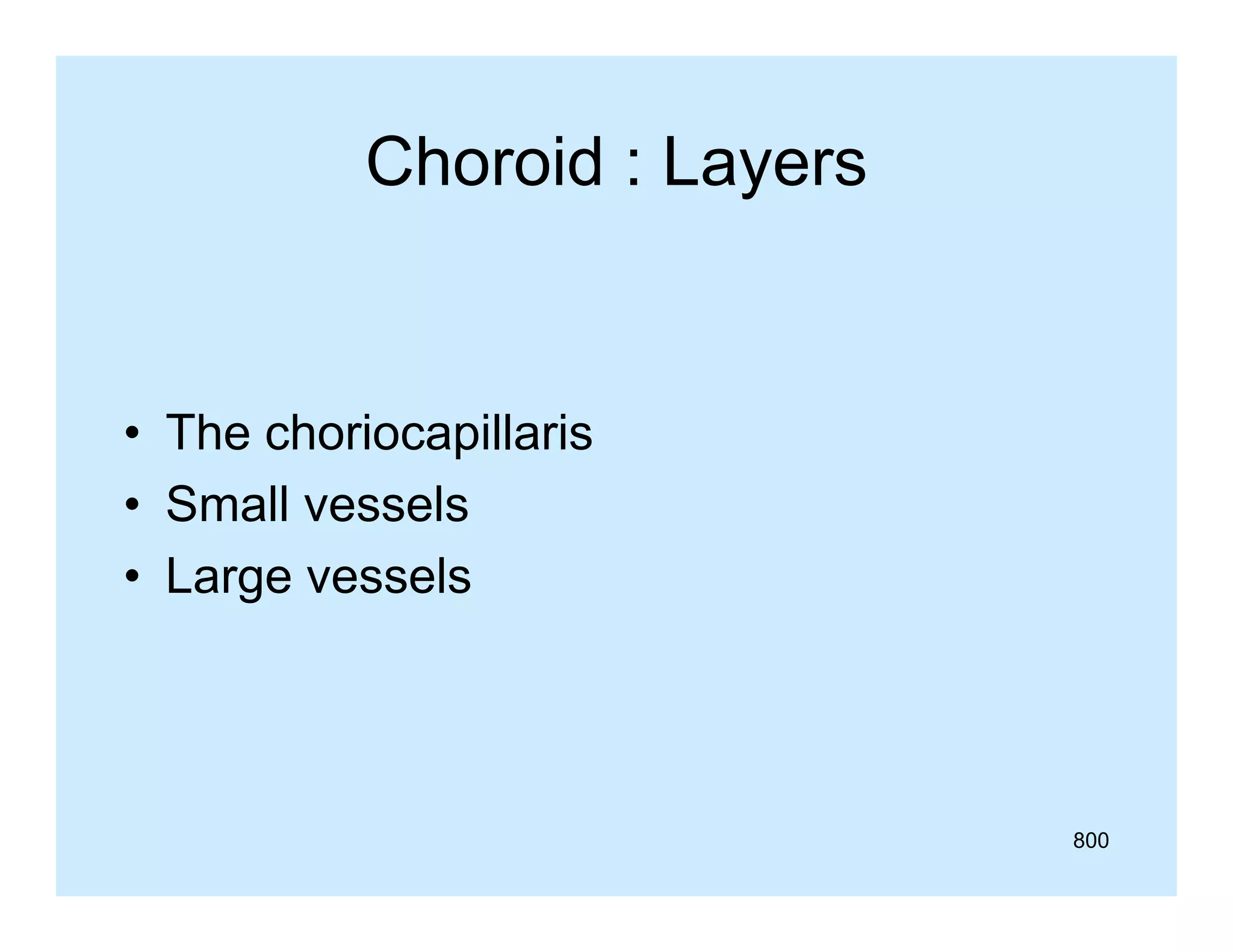 Choroid : Layers

• Th choriocapillaris
The h i
ill i
• Small vessels
• Large vessels

800

 