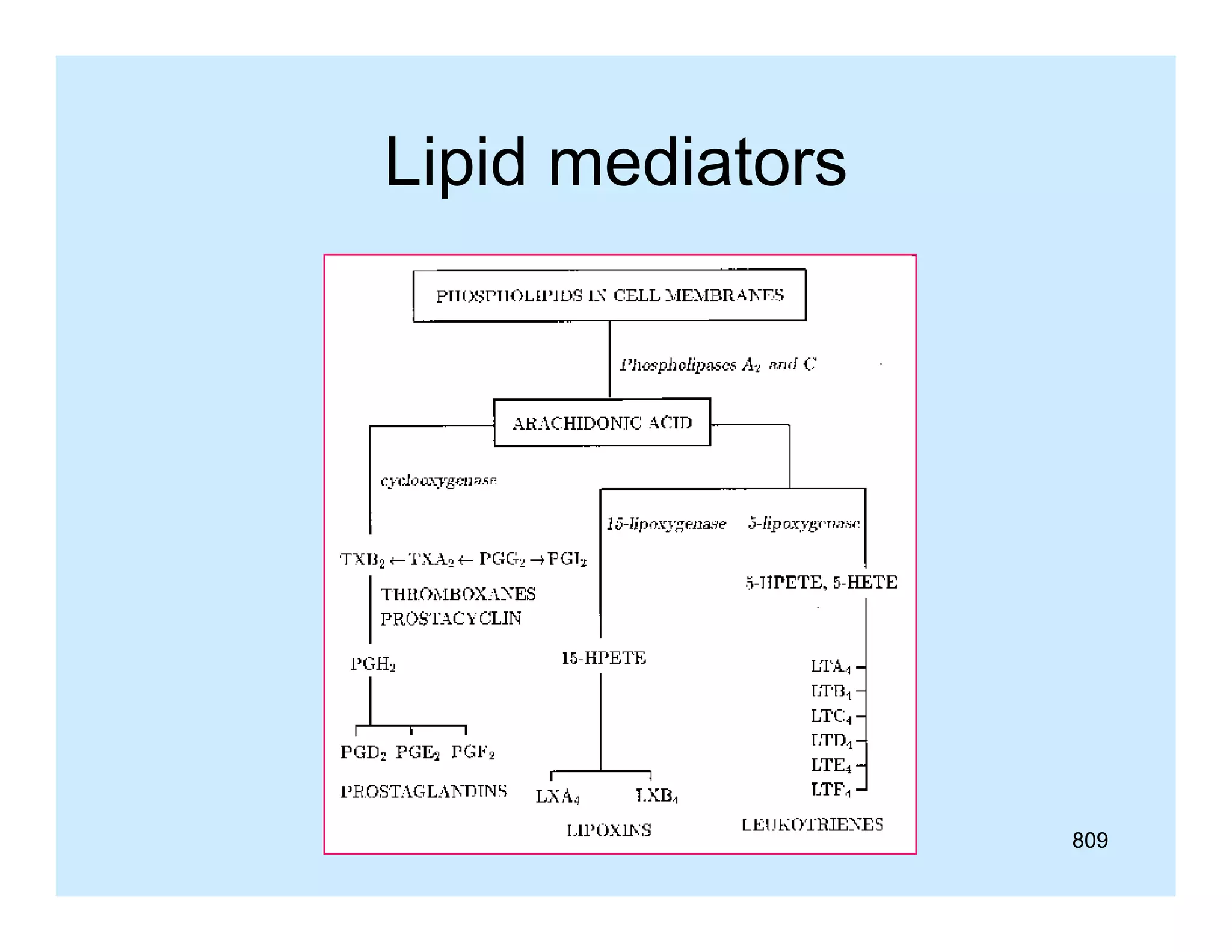 Lipid mediators

809

 