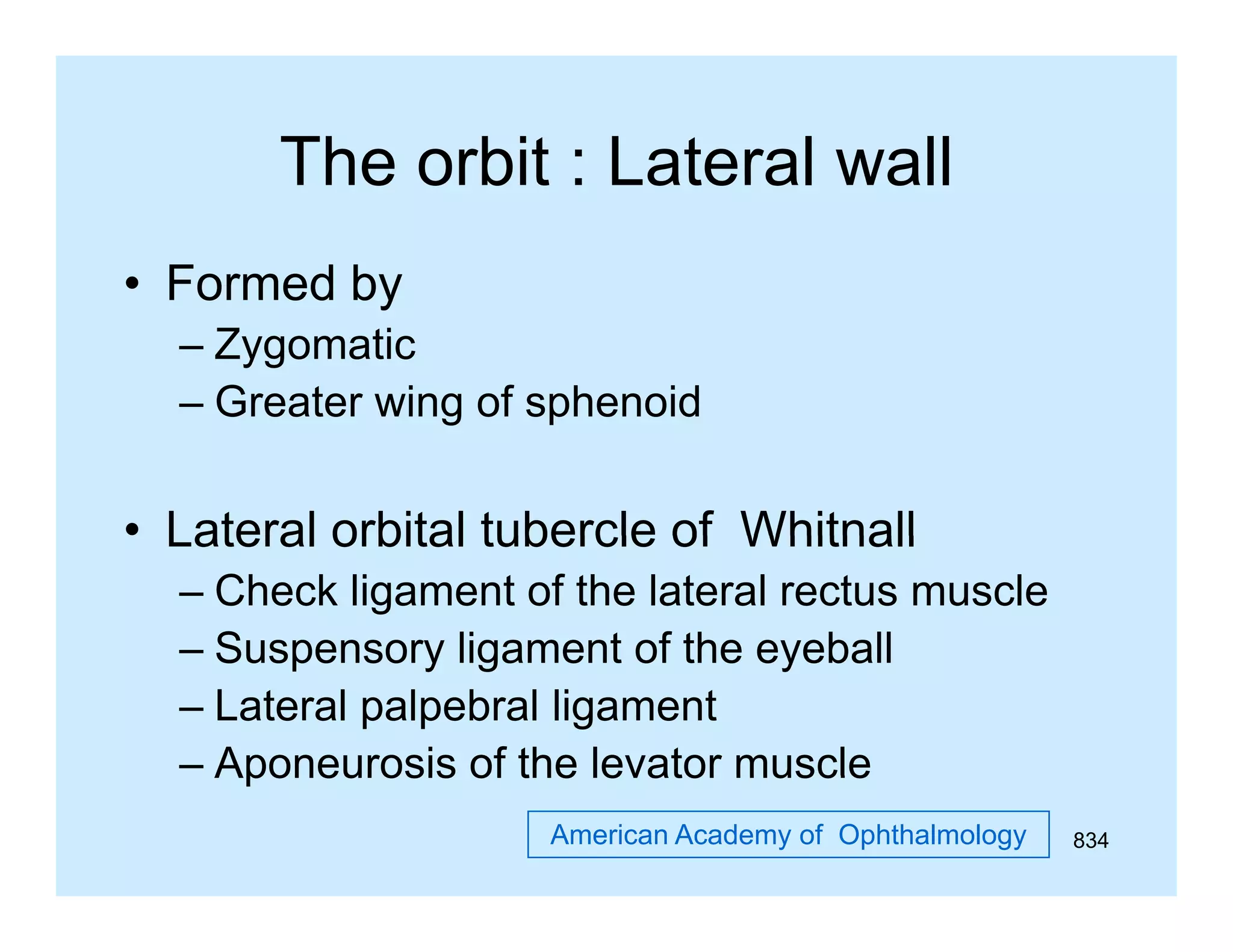 The orbit : Lateral wall
• Formed by
– Zygomatic
– Greater wing of sphenoid

• Lateral orbital tubercle of Whitnall
– Check ligament of the lateral rectus muscle
– Suspensory ligament of the eyeball
– Lateral palpebral ligament
– Aponeurosis of the levator muscle
American Academy of Ophthalmology

834

 