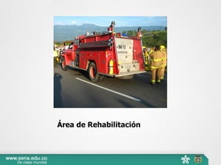 Área de Rehabilitación
 