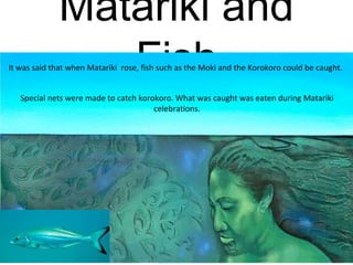 Matariki and
FishIt was said that when Matariki rose, fish such as the Moki and the Korokoro could be caught.
Special nets were made to catch korokoro. What was caught was eaten during Matariki
celebrations.
 