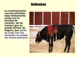 Reflexiona
La conmiseración
con los animales
está íntimamente
unida con la
bondad de
carácter, de tal
manera que se
puede afirmar de
seguro, que quien
es cruel con los
animales no puede
ser buena persona.
 