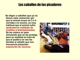 Los caballos de los picadores
Se eligen a caballos que ya no
tienen valor comercial, por
que el animal muere en 3 o 4
corridas a lo mucho, es muy
habitual que el animal sufra
quebraduras múltiples de
costillas o destripamientos.
Se les coloca un peto
simulando que se les protege,
pero en realidad se trata de
que el publico no vea las
heridas al caballo que con
frecuencia presentan
exposición de vísceras.
 