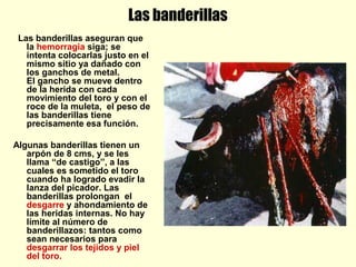 Las banderillas
Las banderillas aseguran que
la hemorragia siga; se
intenta colocarlas justo en el
mismo sitio ya dañado con
los ganchos de metal.
El gancho se mueve dentro
de la herida con cada
movimiento del toro y con el
roce de la muleta, el peso de
las banderillas tiene
precisamente esa función.
Algunas banderillas tienen un
arpón de 8 cms, y se les
llama “de castigo”, a las
cuales es sometido el toro
cuando ha logrado evadir la
lanza del picador. Las
banderillas prolongan el
desgarre y ahondamiento de
las heridas internas. No hay
límite al número de
banderillazos: tantos como
sean necesarios para
desgarrar los tejidos y piel
del toro.
 