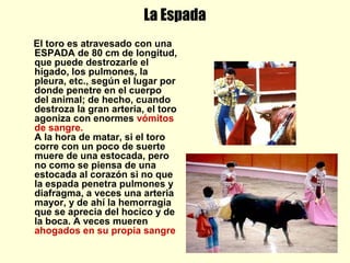 La Espada
El toro es atravesado con una
ESPADA de 80 cm de longitud,
que puede destrozarle el
hígado, los pulmones, la
pleura, etc., según el lugar por
donde penetre en el cuerpo
del animal; de hecho, cuando
destroza la gran arteria, el toro
agoniza con enormes vómitos
de sangre.
A la hora de matar, si el toro
corre con un poco de suerte
muere de una estocada, pero
no como se piensa de una
estocada al corazón si no que
la espada penetra pulmones y
diafragma, a veces una arteria
mayor, y de ahí la hemorragia
que se aprecia del hocico y de
la boca. A veces mueren
ahogados en su propia sangre
 