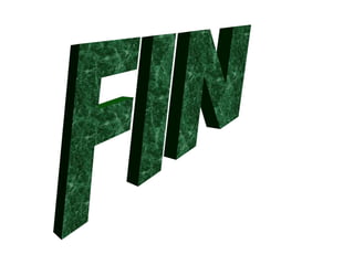 FIN 