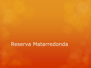 Reserva Matarredonda
 