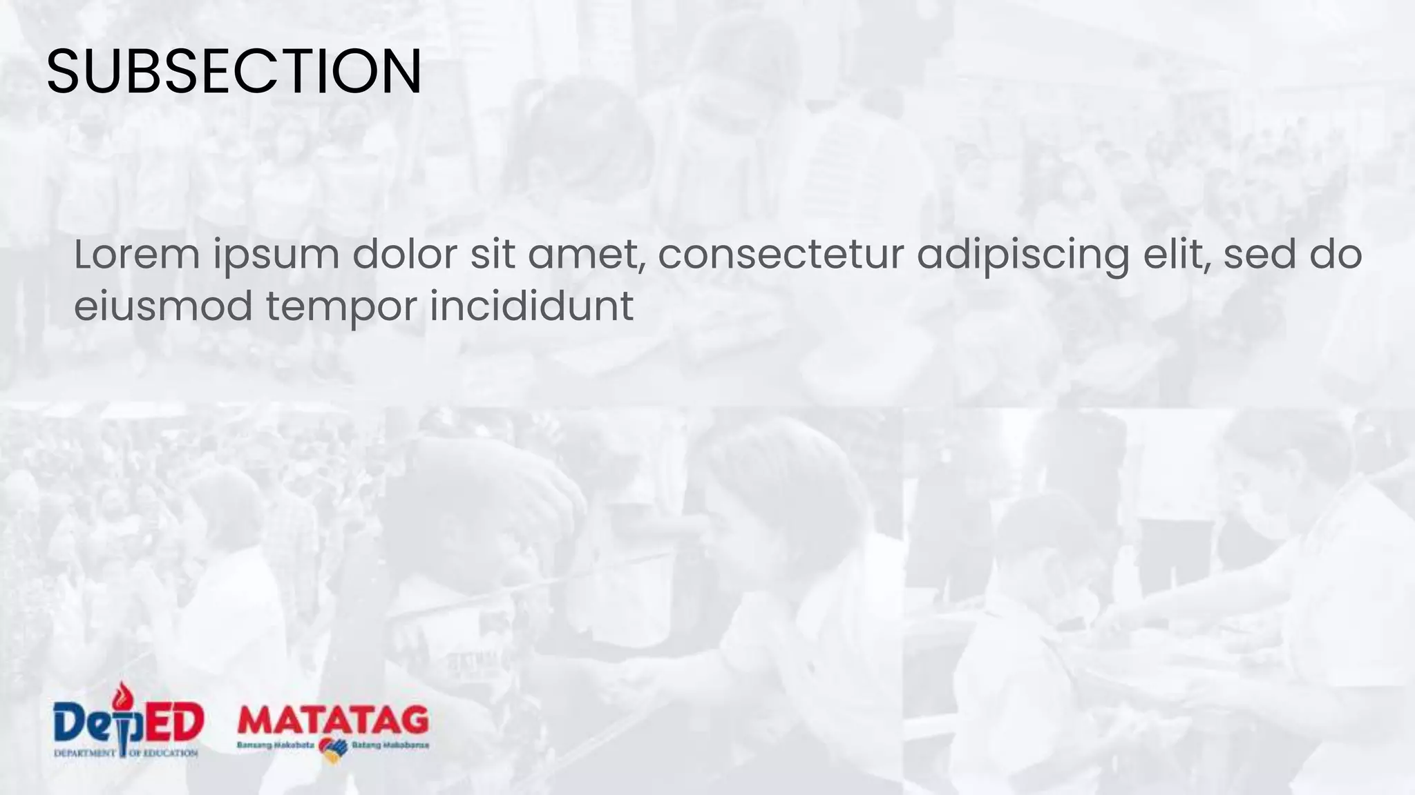 Lorem ipsum dolor sit amet, consectetur adipiscing elit, sed do
eiusmod tempor incididunt
SUBSECTION
 