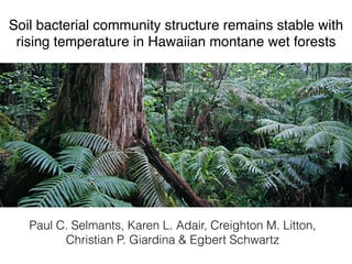 Soil bacterial community structure remains stable with
rising temperature in Hawaiian montane wet forests
Paul C. Selmants, Karen L. Adair, Creighton M. Litton,
Christian P. Giardina & Egbert Schwartz
 