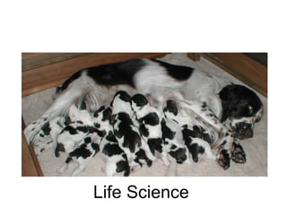 Life Science 