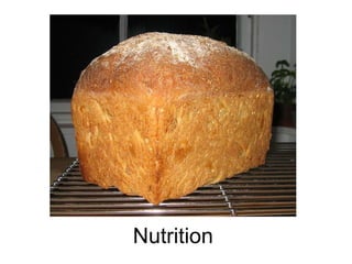 Nutrition 