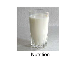 Nutrition 