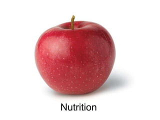 Nutrition 