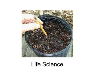 Life Science 