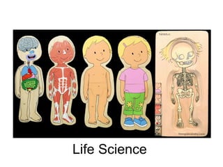 Life Science 