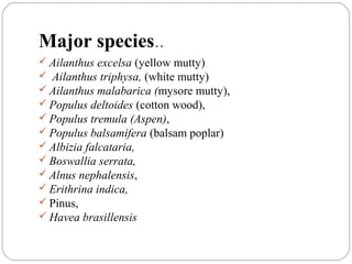 Major species..
 Ailanthus excelsa (yellow mutty)
 Ailanthus triphysa, (white mutty)
 Ailanthus malabarica (mysore mutty),
 Populus deltoides (cotton wood),
 Populus tremula (Aspen),
 Populus balsamifera (balsam poplar)
 Albizia falcataria,
 Boswallia serrata,
 Alnus nephalensis,
 Erithrina indica,
 Pinus,
 Havea brasillensis
 