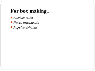 For box making..
Bombax ceiba
Havea brasillensis
Populus deltaitus
 