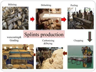 Splints production
Billeting Peeling
waxcoating&
Grading Carbonizing
&Drying
Chopping
Debarking
 