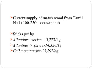 Current supply of match wood from Tamil
Nadu 100-250 tonnes/month.
Sticks per kg
Ailanthus excelsa -13,227/kg
Ailanthus tryphysa-14,320/kg
Ceiba pentandra-13,297/kg
 