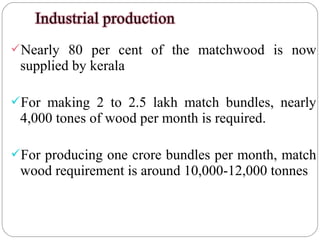 Nearly 80 per cent of the matchwood is now
supplied by kerala
For making 2 to 2.5 lakh match bundles, nearly
4,000 tones of wood per month is required.
For producing one crore bundles per month, match
wood requirement is around 10,000-12,000 tonnes
 
